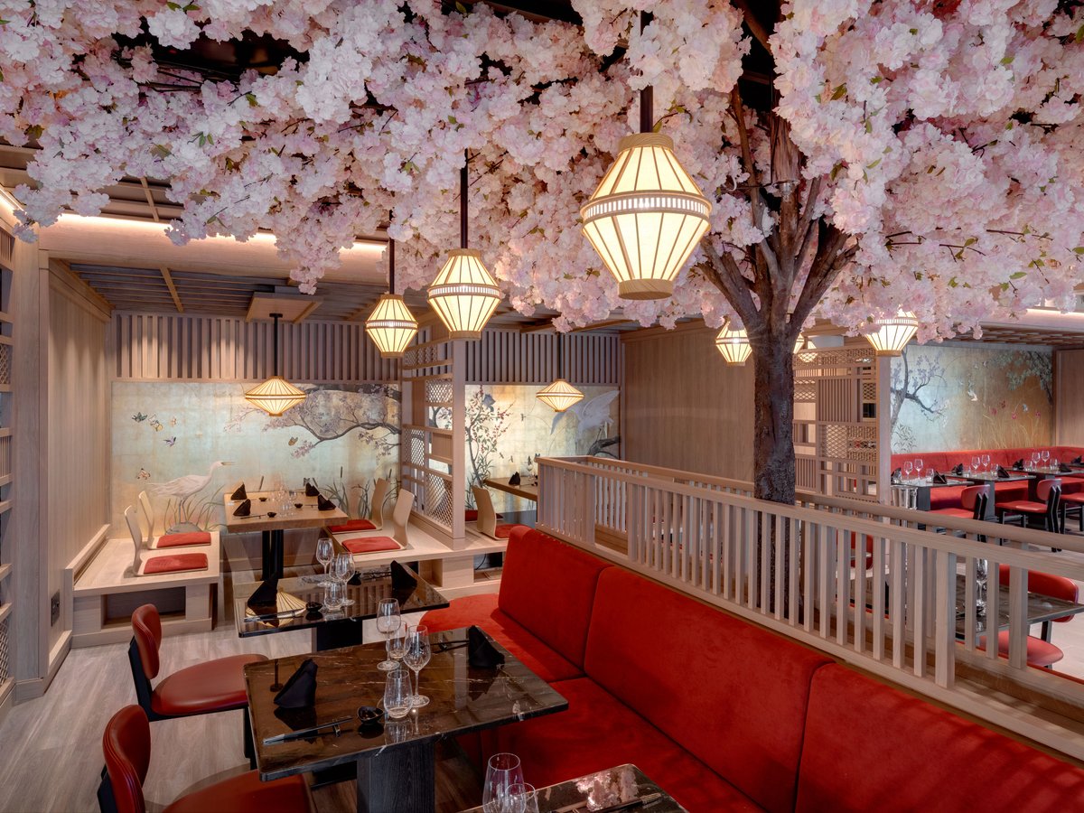 Паназиатские блюда Sakura — суши и азиатская кухня в круизе Explora